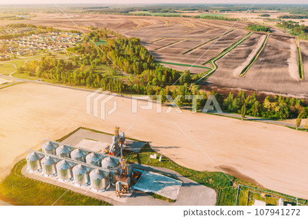 Modern Granary, Grain-drying Complex, Commercial Grain Or Seed Silos In Sunny Spring Rural Landscape. Corn Dryer Silos, Inland Grain Terminal, Grain Elevators In A Field. Sunlight Sunshine sunny 107941272