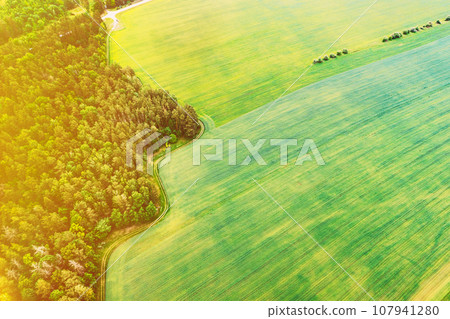 Aerial View Of Field And Deforestation Area Zone Landscape. Top View Of Field And Green Pine Forest Landscape. Large-scale Industrial Deforestation To Expand Agricultural Fields 107941280
