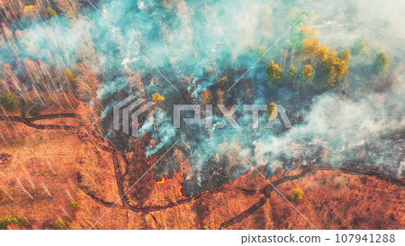 Aerial View. Spring Dry Grass Burns During Drought Hot Weather. Bush Fire And Smoke In Deforestation Zone. Wild Open Fire Destroys Grass. Nature In Danger. Ecological Problem Air Pollution Aerial View. Spring Dry Grass Burns During Drought Hot Weather. Bush Fire And Smoke In Deforestation Zone. Wild Open Fire Destroys Grass. Nature In Danger. Ecological Problem Air Pollution 107941288