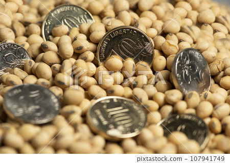 Soy beans, with metal money, concept of value of commodity. Soy beans, with metal money, concept of value of commodity. 107941749