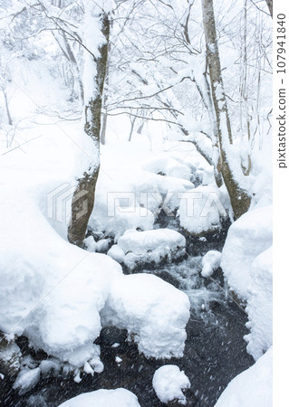 Christmas image: snowy forest scene 107941840