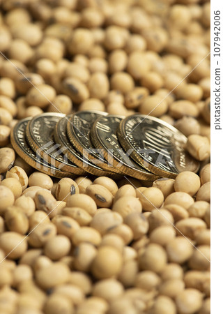 Soy beans, with metal money, concept of value of commodity. 107942006
