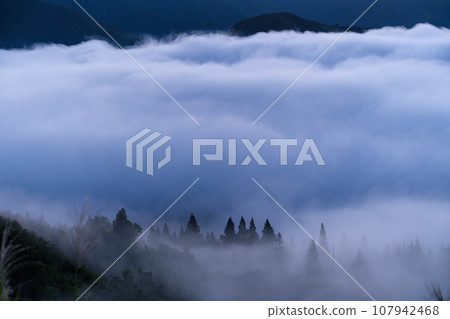 雲海和森林 107942468