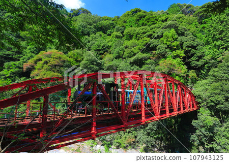 [Ehime Prefecture] Minetopia Beshiko's dolly 107943125