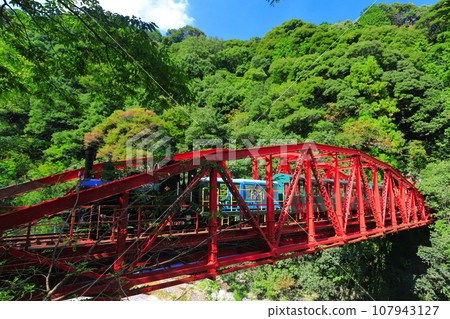 [Ehime Prefecture] Minetopia Beshiko's dolly 107943127