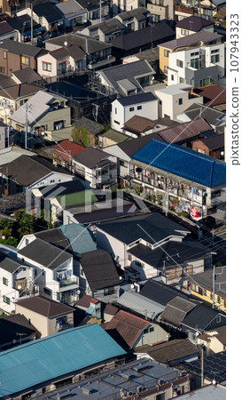 Dense residential areas in the Tokyo metropolitan area 107943323
