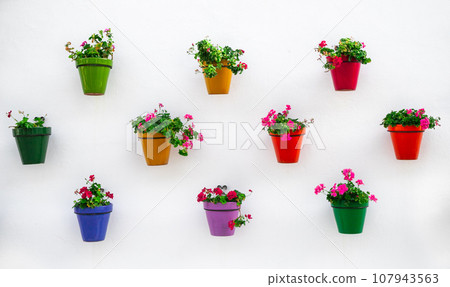 Many flower pots on a white wall, traditional Spanish city decoration Many flower pots on a white wall, traditional Spanish city decoration 107943563