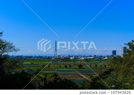 Scenery of Yagiri, Matsudo City, Chiba Prefecture October 2023 Scenery of Yagiri, Matsudo City, Chiba Prefecture October 2023 107943826