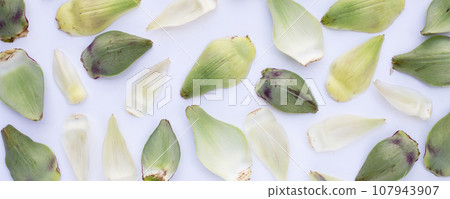 Fresh artichoke petals on white background 107943907