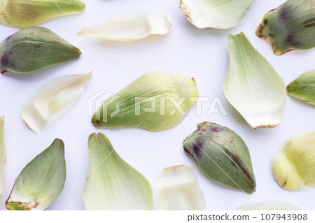 Fresh artichoke petals on white background Fresh artichoke petals on white background 107943908