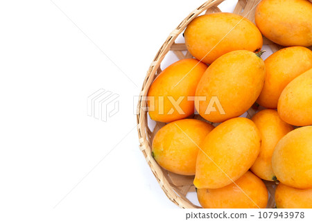 Marian plum fruit isolated on white background Marian plum fruit isolated on white background 107943978