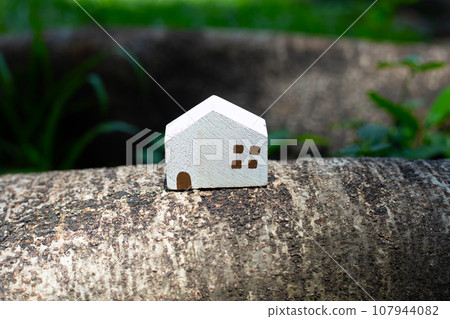 Miniature wooden house on root of tree Miniature wooden house on root of tree 107944082