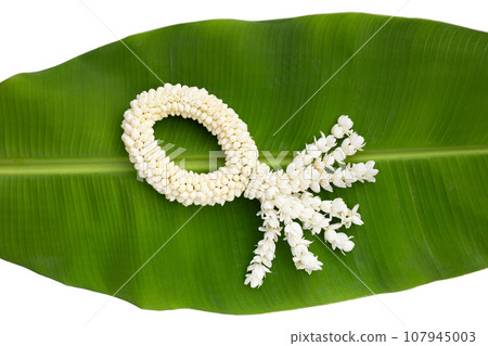 Thai white jasmine flower garland 107945003