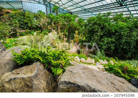 Interior view of the cold house Estufa Fria is a greenhouse with gardens, ponds, exotic plants and trees in Lisbon, Portugal Interior view of the cold house Estufa Fria is a greenhouse with gardens, ponds, exotic plants and trees in Lisbon, Portugal 107945096