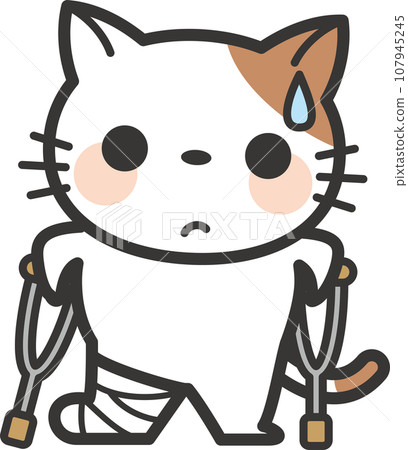 拄著拐杖站著的貓角色 拄著拐杖站著的貓角色 107945245