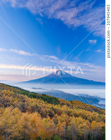 Yamanashi_Autumn leaves and spectacular sunrise view of Mt. Fuji Yamanashi_Autumn leaves and spectacular sunrise view of Mt. Fuji 107945403