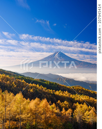 山梨縣_秋葉和富士山壯觀的日出景觀 山梨縣_秋葉和富士山壯觀的日出景觀 107945414