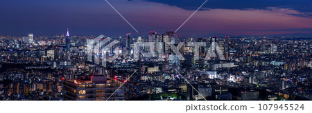 [Tokyo] Tokyo night view towards Shinjuku 107945524