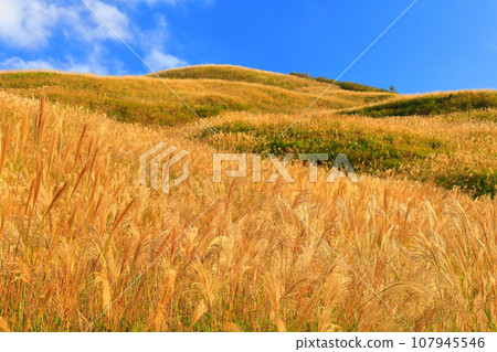 [愛媛郡/德島郡] 蒲葦蔓延的鹽塚高原的鹽塚峰 107945546