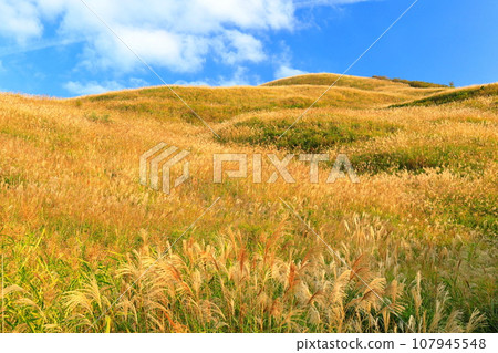 [愛媛郡/德島郡] 蒲葦蔓延的鹽塚高原的鹽塚峰 107945548