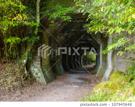 Kumamoto_Scenery of the octagonal tunnel of the Kumanobe Railway ruins 107945648