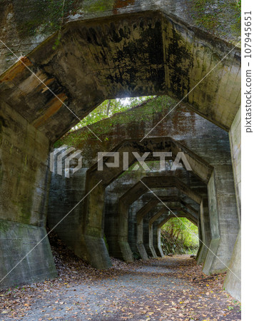 熊本_熊延鐵道遺址八角形隧道風景 107945651