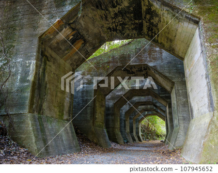 熊本_熊延鐵道遺址八角形隧道風景 107945652