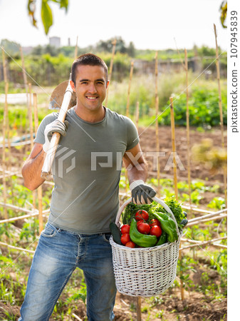 Man professional gardner holding basket with harvest of vegetables 107945839
