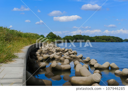 埼玉縣三鄉市江戶川釣魚場 2023 年 10 月 107946285