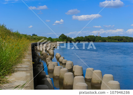 埼玉縣三鄉市江戶川釣魚場 2023 年 10 月 埼玉縣三鄉市江戶川釣魚場 2023 年 10 月 107946286