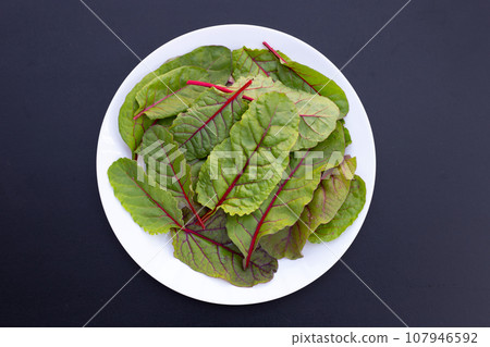 Fresh swiss chard leaves. Baby leaf swiss chard 107946592