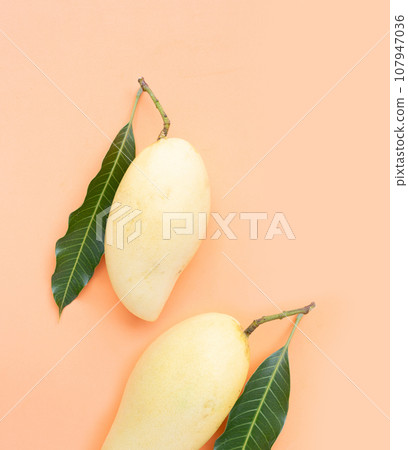 Top view of Mango, Tropical fruit  juicy and sweet. 107947036