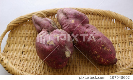 秋天的收穫,新鮮的紅薯 秋天的收穫,新鮮的紅薯 107948602