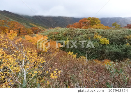 Autumn leaves of Asahi mountain range 107948854