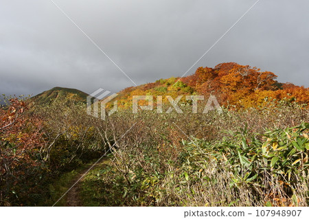 朝日山脈的秋葉 107948907