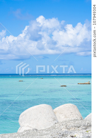 翠藍色 17 端海灘和四足動物 翠藍色 17 端海灘和四足動物 107949304