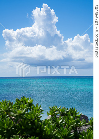 從第17集結尾看到的伊良部島夏日風景 107949305