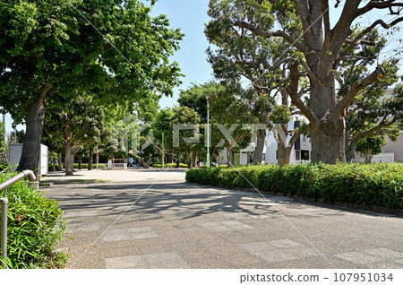 川口步行:川口市薩摩市薩摩公園 川口步行:川口市薩摩市薩摩公園 107951034