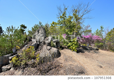 Continuation of Japan's 100 Famous Castles "Shintakayama Castle" curve and view on a clear day in Mihara City, Hiroshima Prefecture Continuation of Japan's 100 Famous Castles "Shintakayama Castle" curve and view on a clear day in Mihara City, Hiroshima Prefecture 107951308