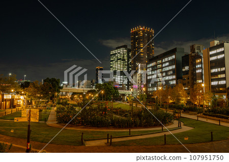 中之島公園玫瑰園夜景 107951750