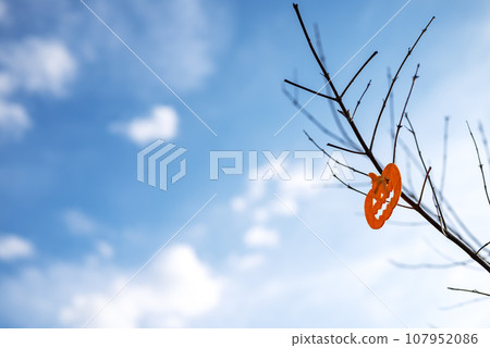 pumpkin decoration halloween event autumn image 107952086