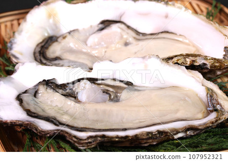 濾鍋上的生牡蠣 濾鍋上的生牡蠣 107952321