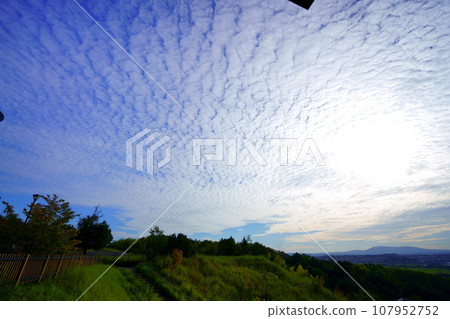 Evening with scaly clouds before sunset, Kizugawa City Castle Park 107952752