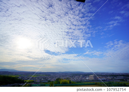 Evening with scaly clouds before sunset, Kizugawa City Castle Park 107952754