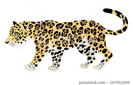 捷豹插圖 捷豹插圖 107952894