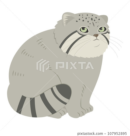 Illustration of manul cat 107952895