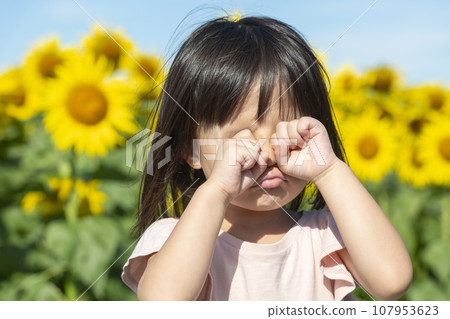 Children playing in a field of sunflowers in full bloom Children playing in a field of sunflowers in full bloom 107953623