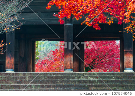 南禪寺三門的秋葉_7994 南禪寺三門的秋葉_7994 107954046