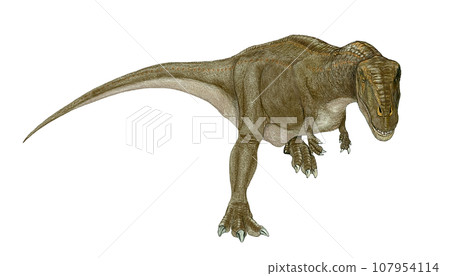 印度鱷，南半球的老兵 107954114