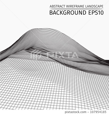 Wireframe landscape background. Abstract vector. 3d technology illustration. 107954185